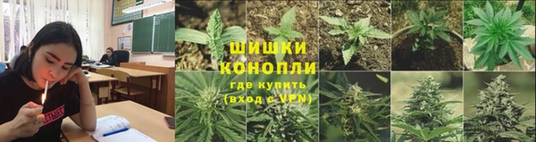 2c-b Горняк