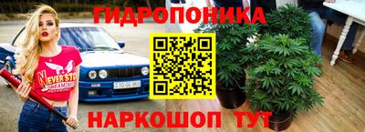 ГАЛЛЮЦИНОГЕННЫЕ ГРИБЫ Аргун