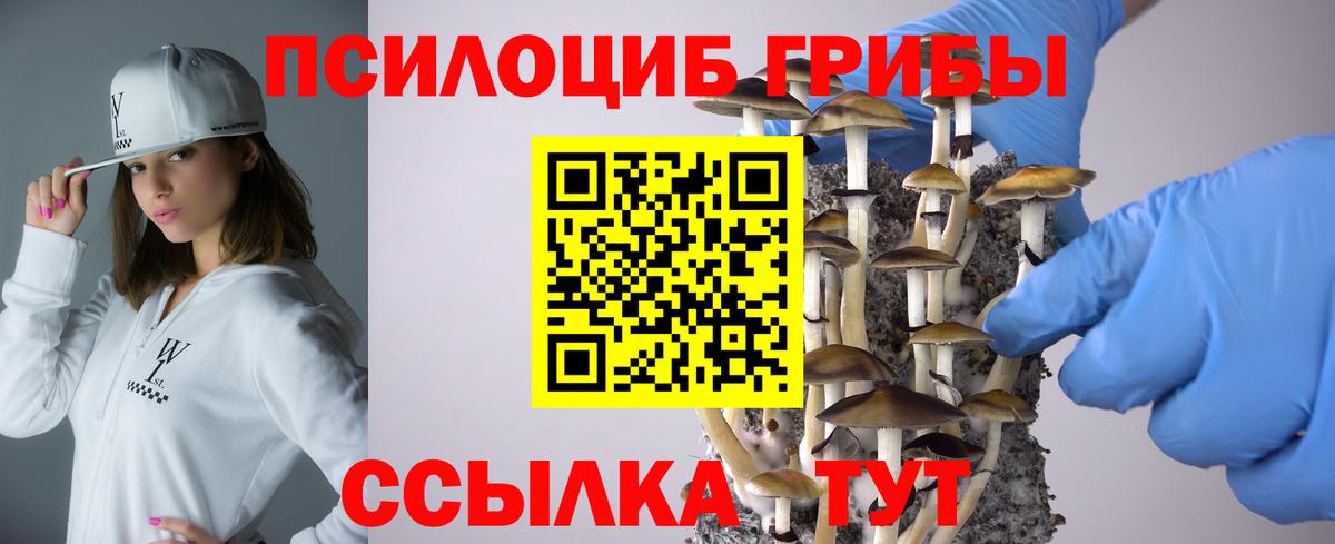 Псилоцибиновые грибы GOLDEN TEACHER  закладка  Нерюнгри  Вход с VPN 