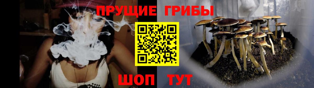 Галлюциногенные грибы Psilocybine cubensis Нерюнгри