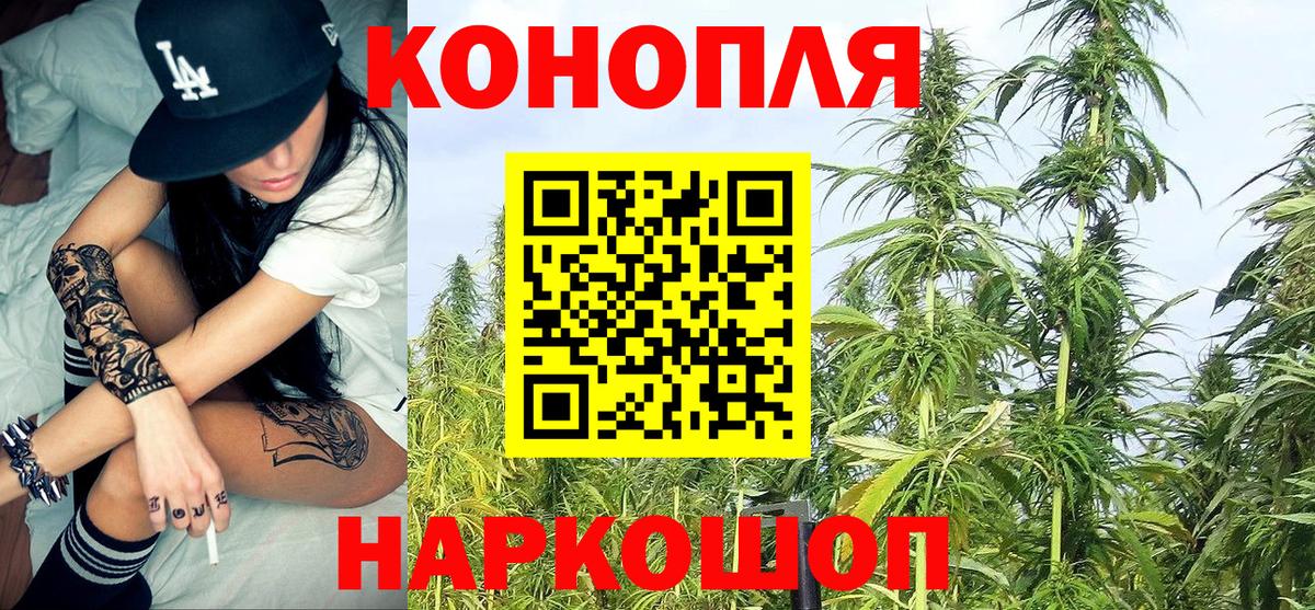 Бошки Шишки Bruce Banner  Вход с VPN  Каннабис тримм  Нерюнгри  МАРИХУАНА OG Kush 